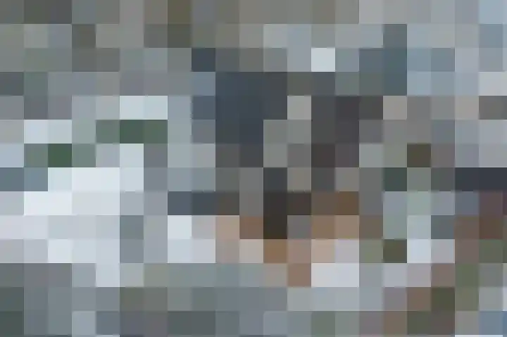 Dingspil 14 Roden thumbnail 5