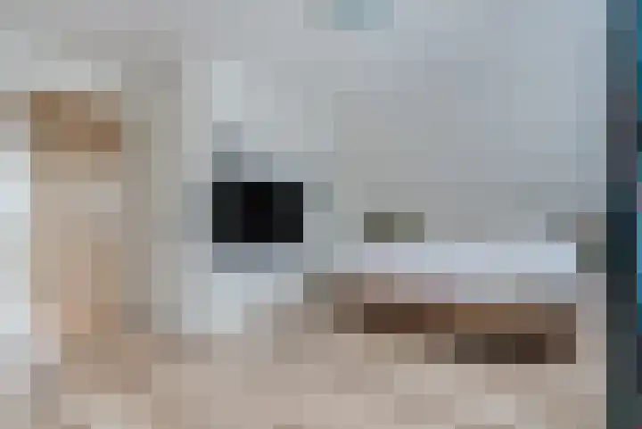 Dingspil 14 Roden thumbnail 55