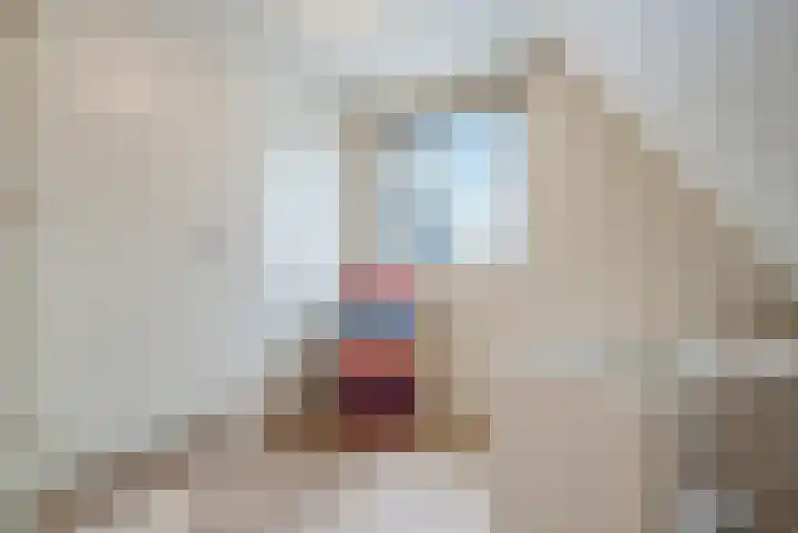 Dingspil 14 Roden thumbnail 66