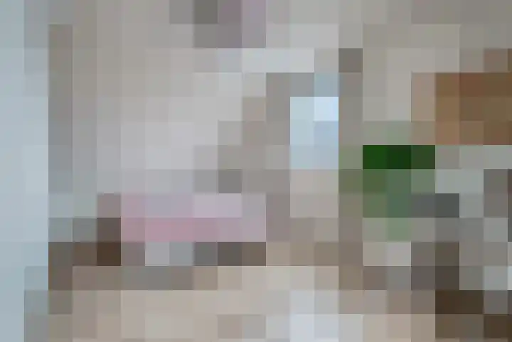 Dingspil 14 Roden thumbnail 68