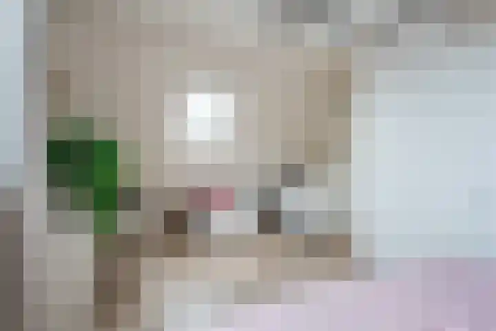 Dingspil 14 Roden thumbnail 71