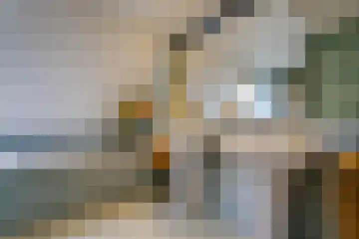Dingspil 14 Roden thumbnail 73