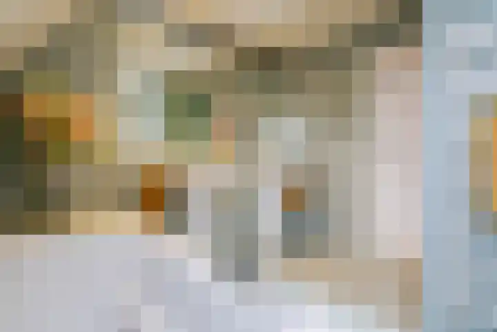 Dingspil 14 Roden thumbnail 76