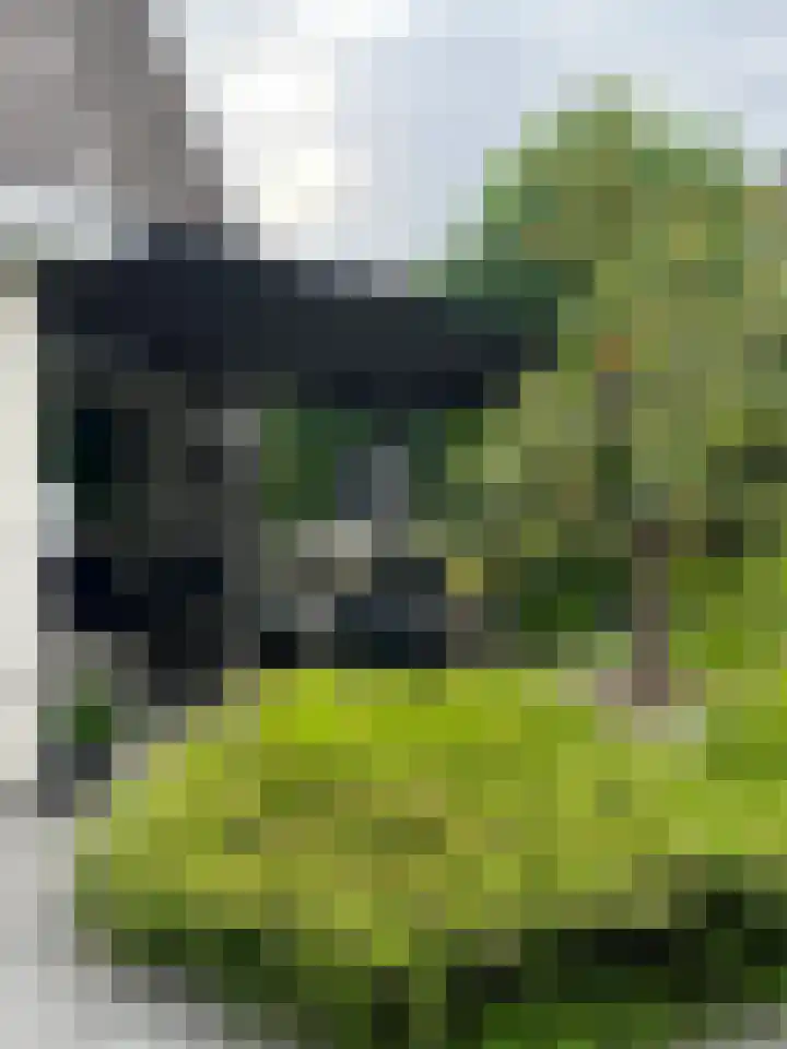 Dingspil 14 Roden thumbnail 82