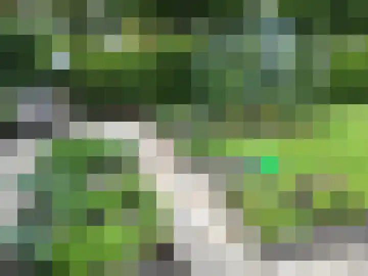 Dingspil 14 Roden thumbnail 83