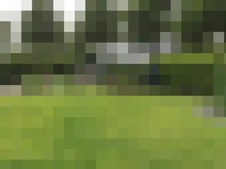 Dingspil 14 Roden thumbnail 84