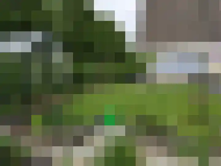 Dingspil 14 Roden thumbnail 85