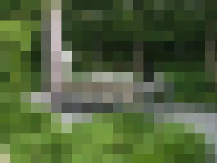 Dingspil 14 Roden thumbnail 86