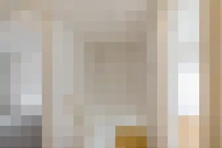 Dingspil 20 Vries thumbnail 20