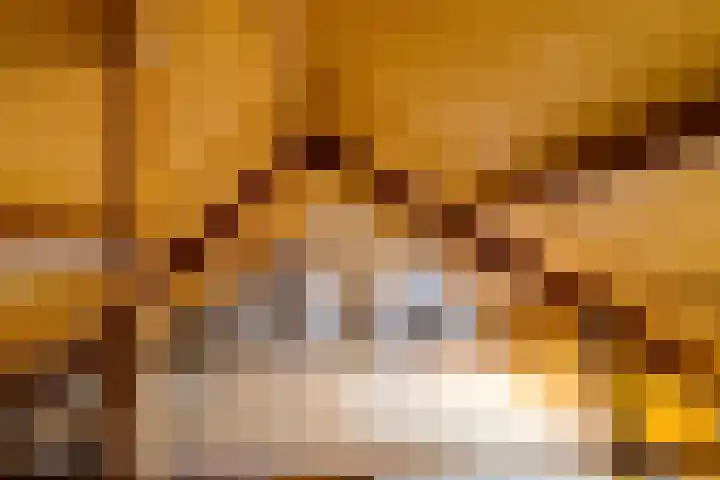 Dingspil 20 Vries thumbnail 24