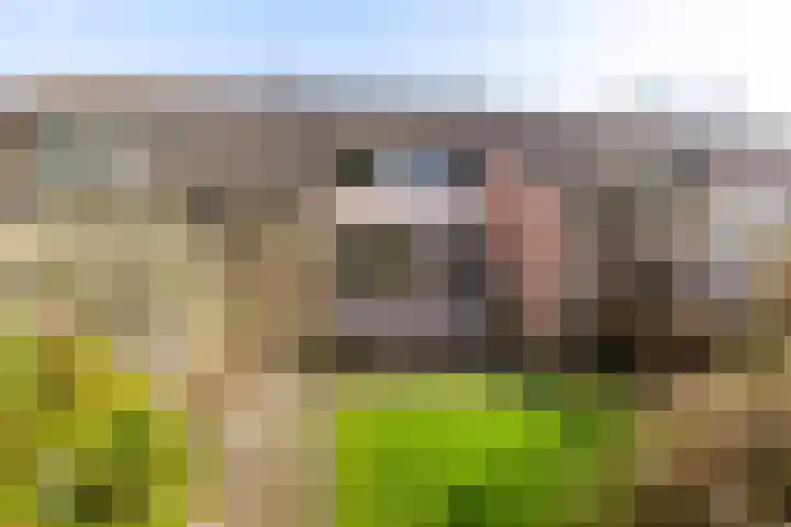 Dingspil 20 Vries thumbnail 25