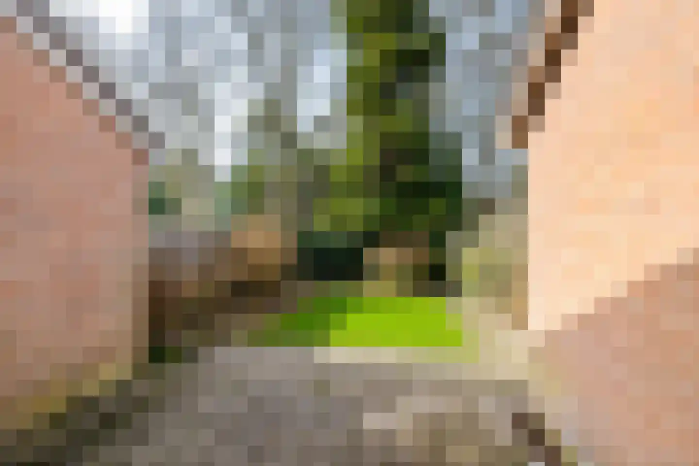 Dingspil 20 Vries thumbnail 26