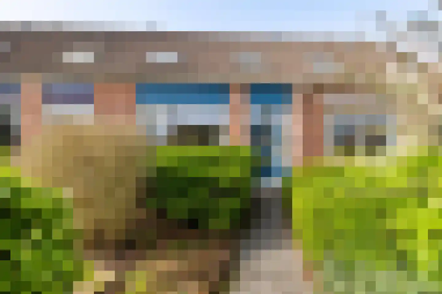 Dingspil 20 Vries thumbnail 27