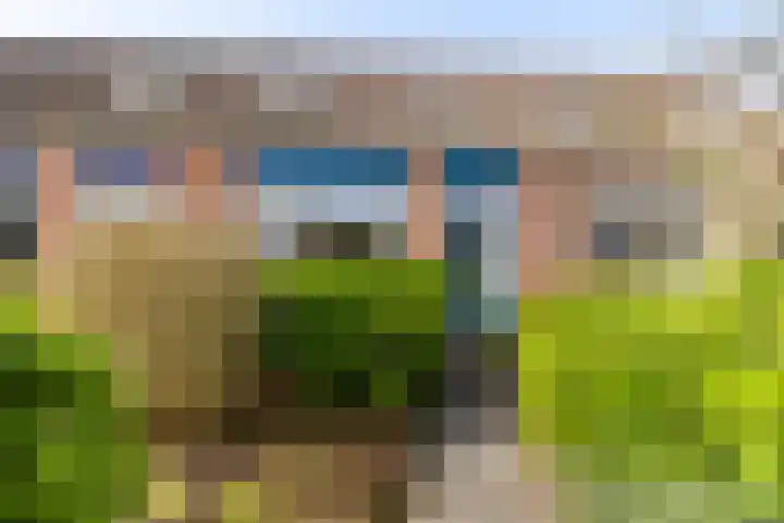 Dingspil 20 Vries thumbnail 27