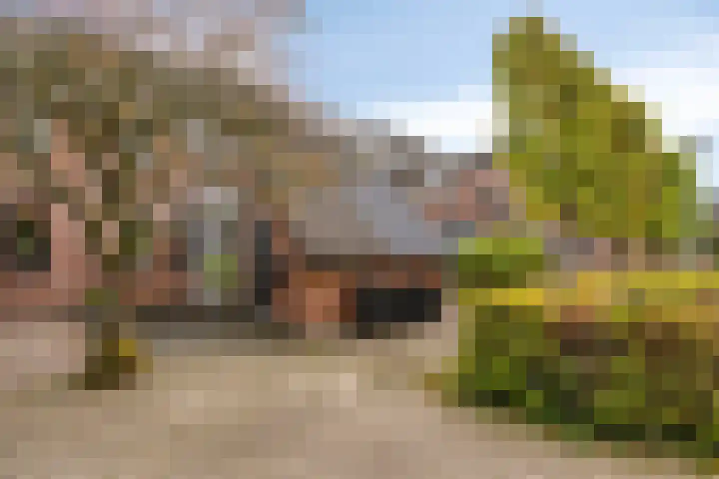 Dingspil 38 Borger thumbnail 11