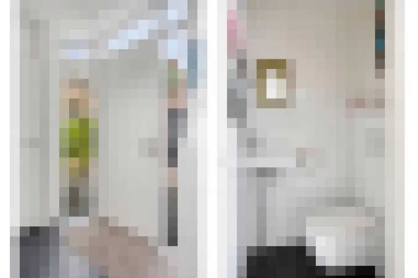 Dingspil 38 Borger thumbnail 12