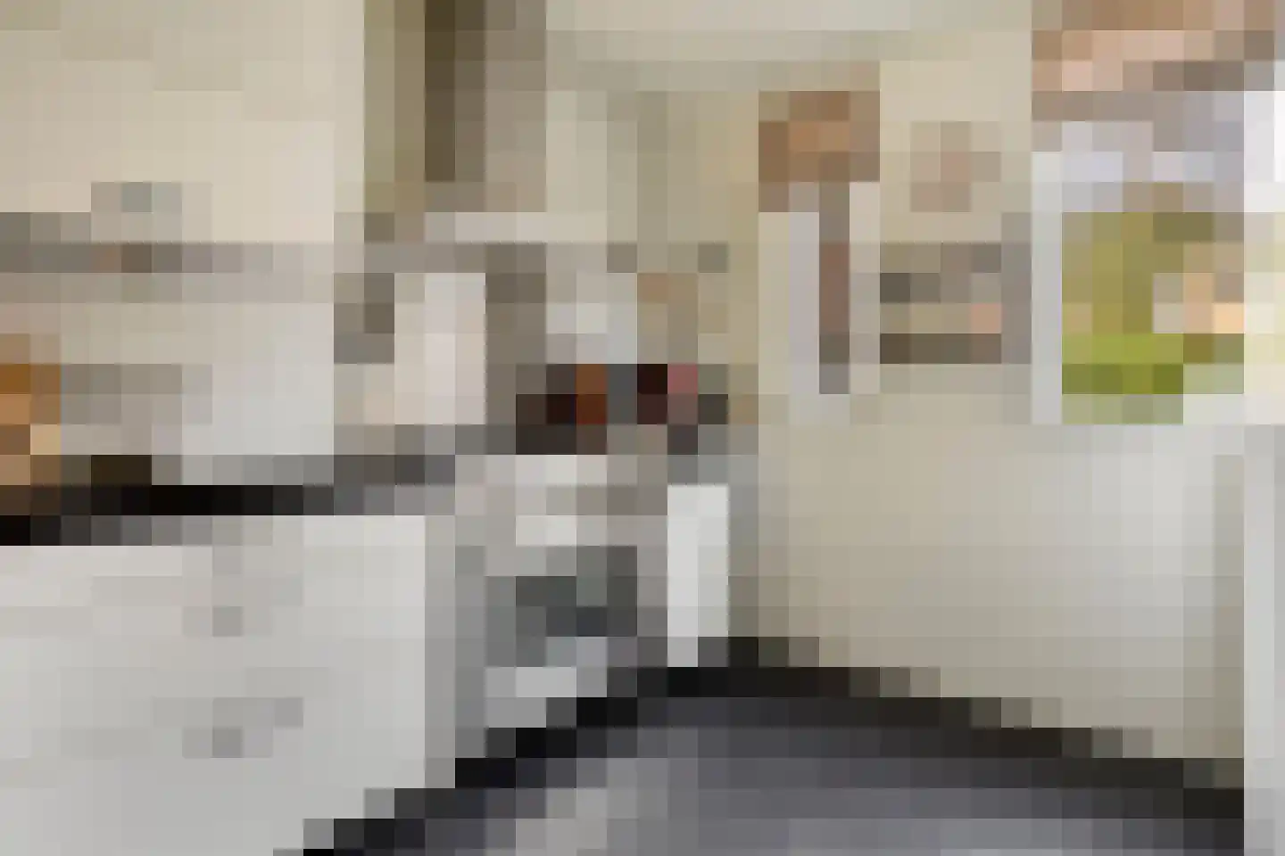 Dingspil 38 Borger thumbnail 21
