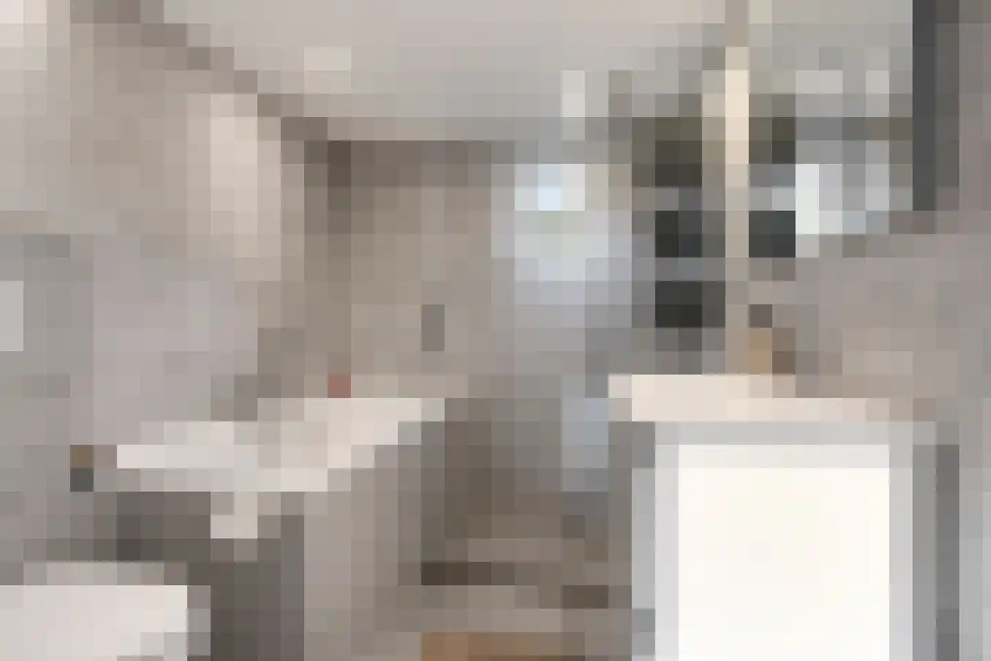 Dingspil 38 Borger thumbnail 22