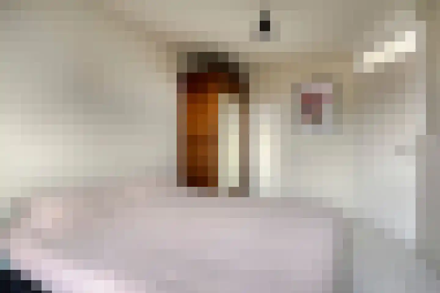 Dingspil 38 Borger thumbnail 25