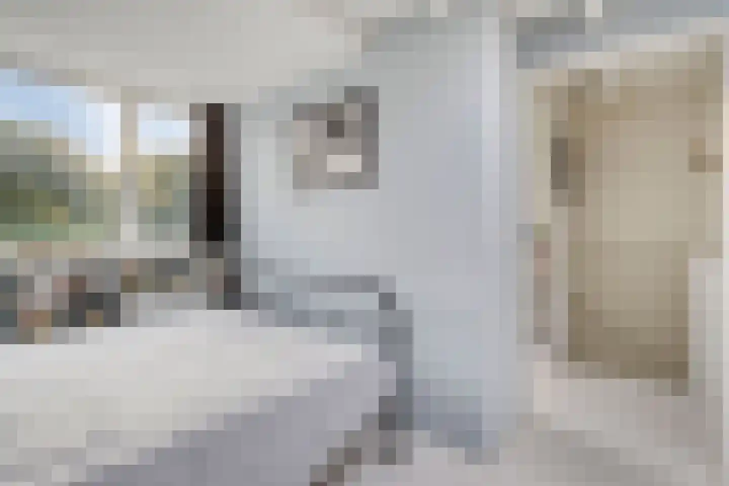 Dingspil 38 Borger thumbnail 33