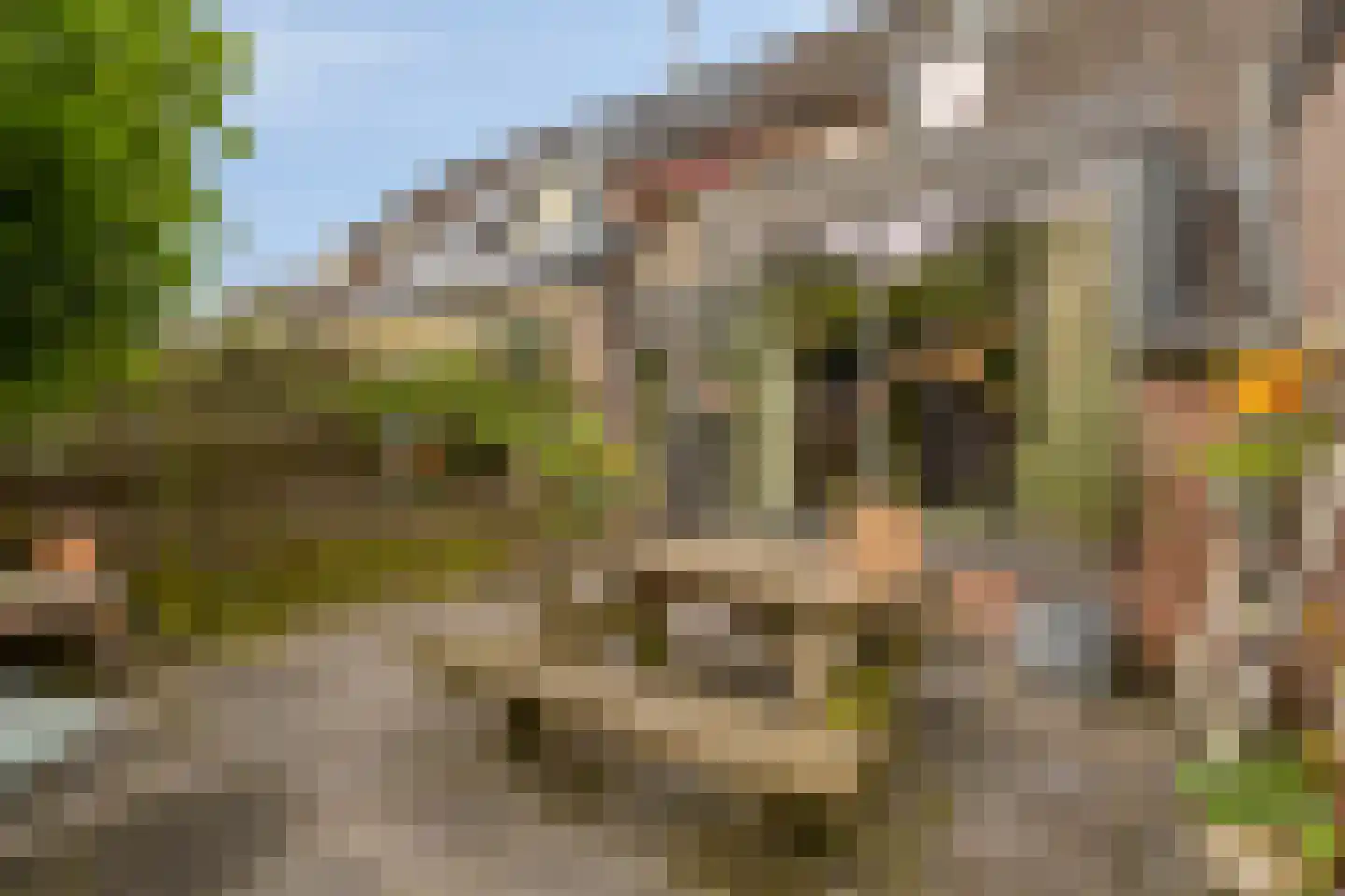 Dingspil 38 Borger thumbnail 35