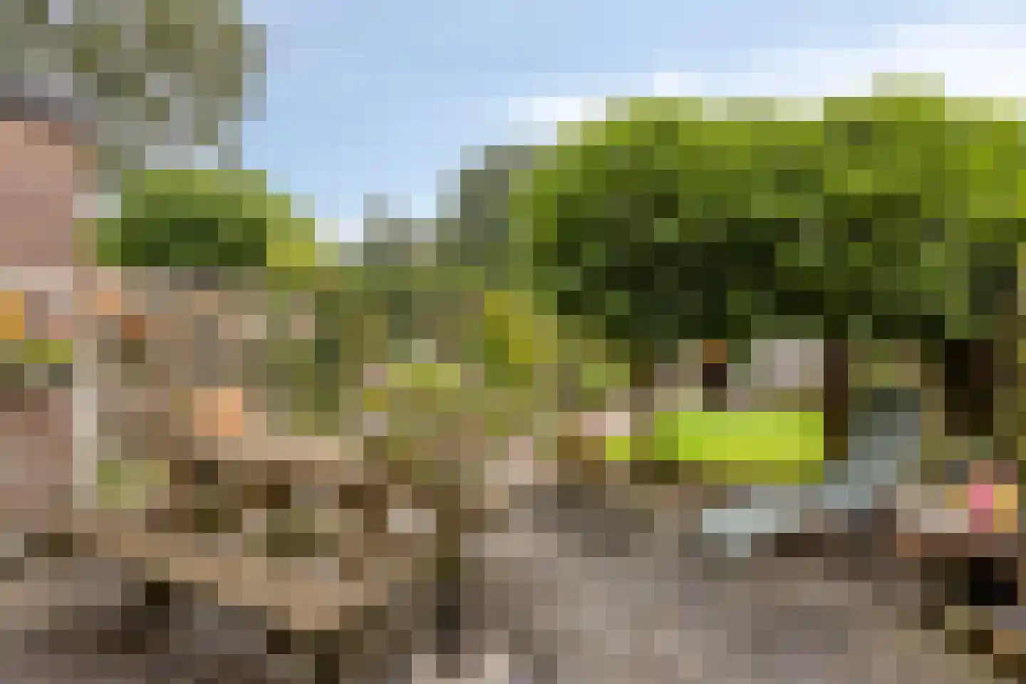 Dingspil 38 Borger thumbnail 36