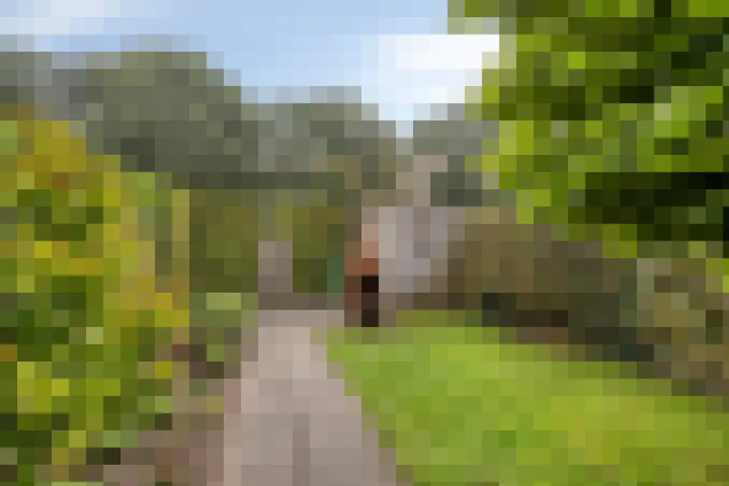 Dingspil 38 Borger thumbnail 38