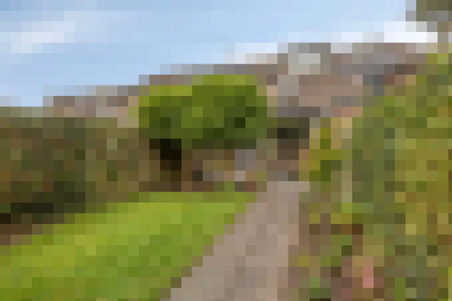 Dingspil 38 Borger thumbnail 39