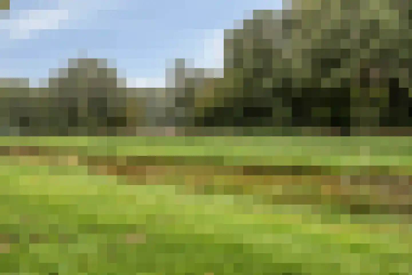 Dingspil 38 Borger thumbnail 40