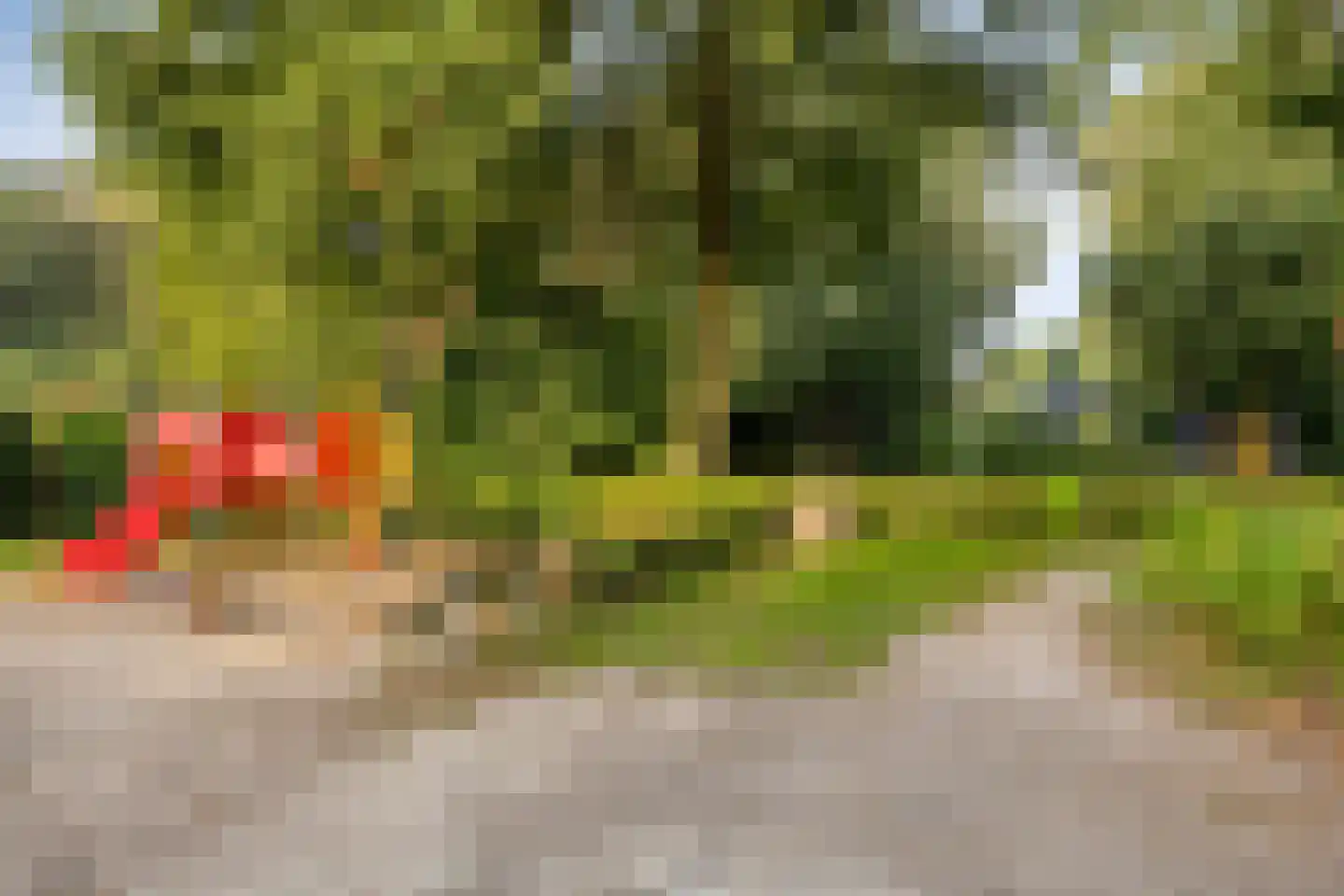 Dingspil 38 Borger thumbnail 41