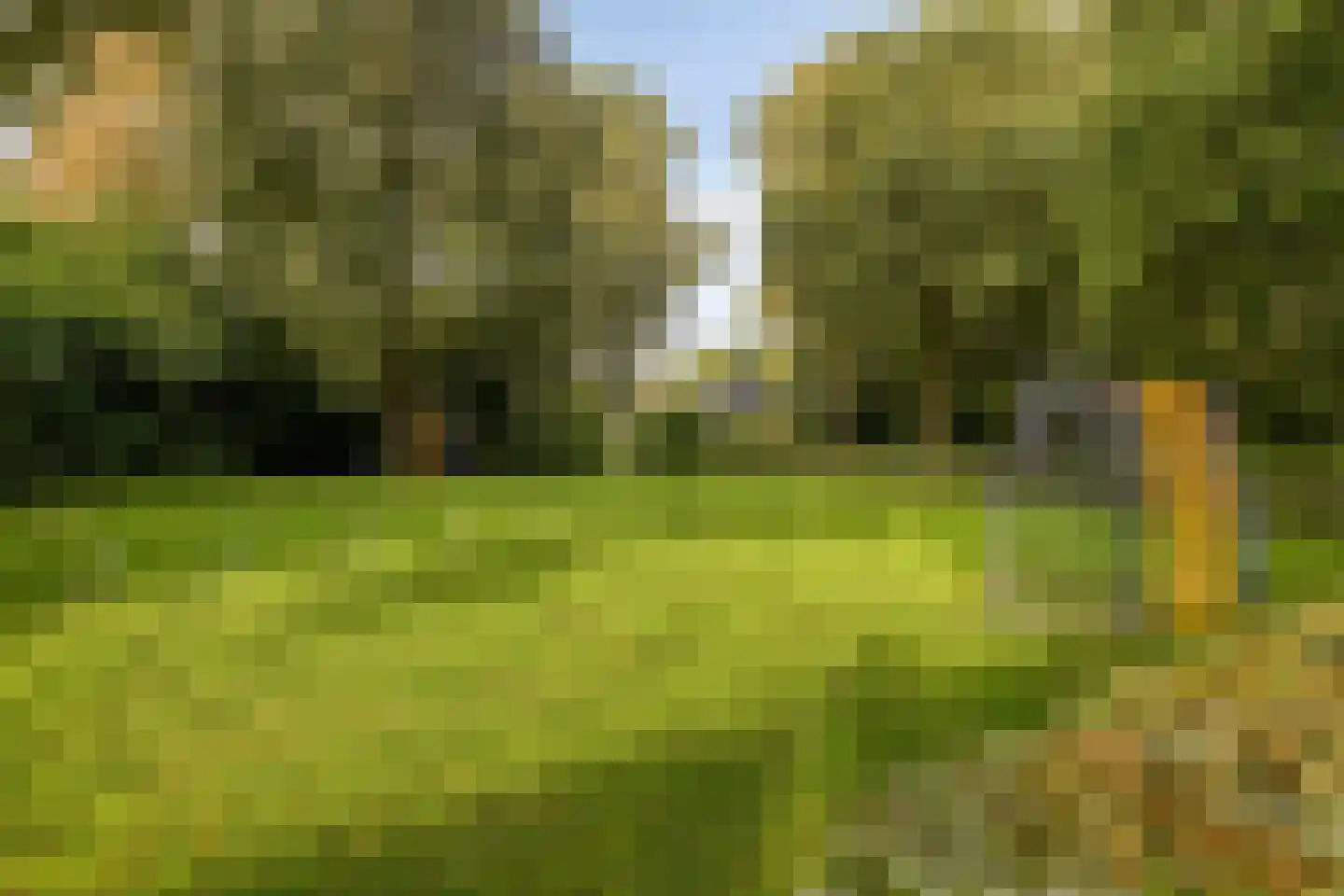 Dingspil 38 Borger thumbnail 42