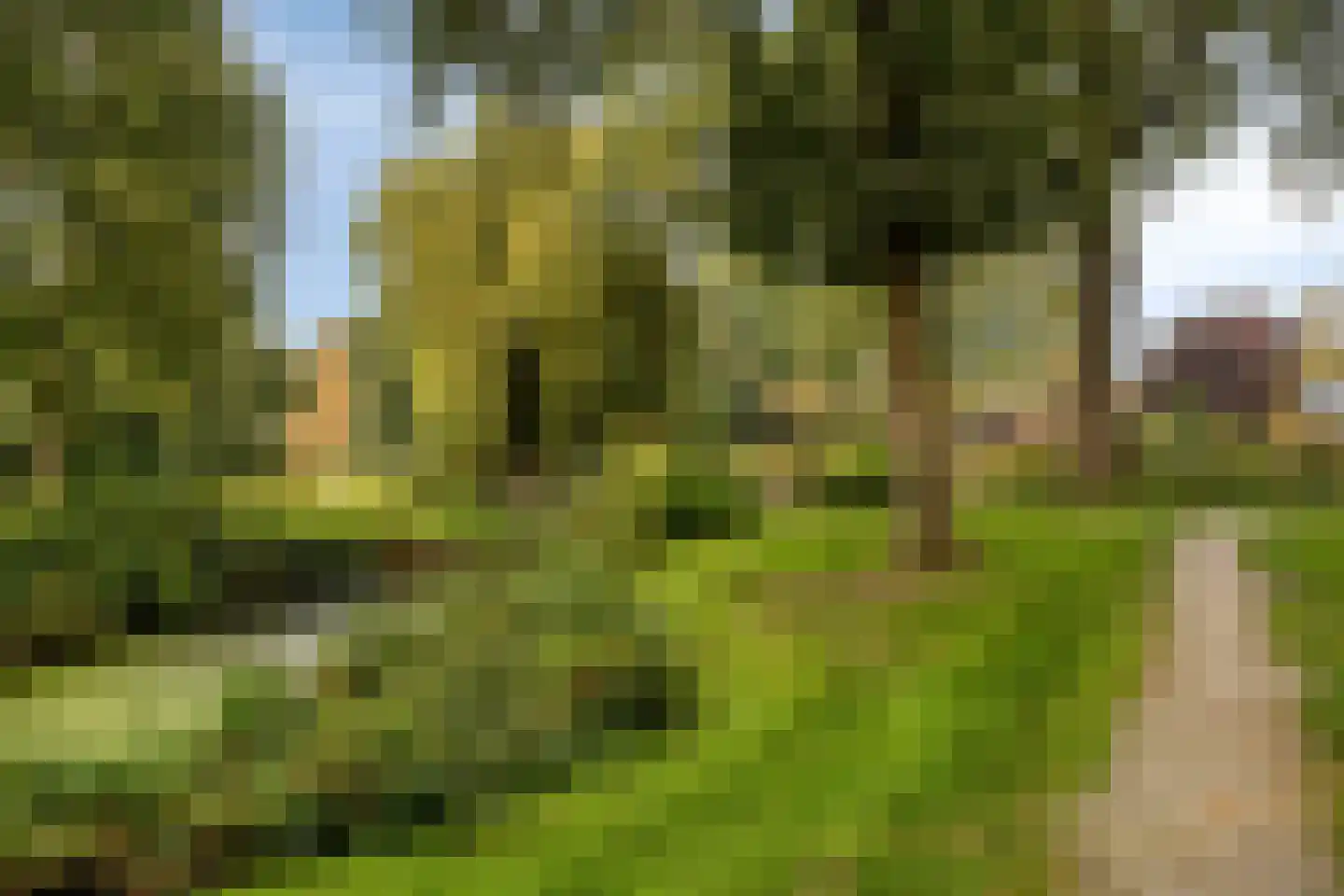 Dingspil 38 Borger thumbnail 43