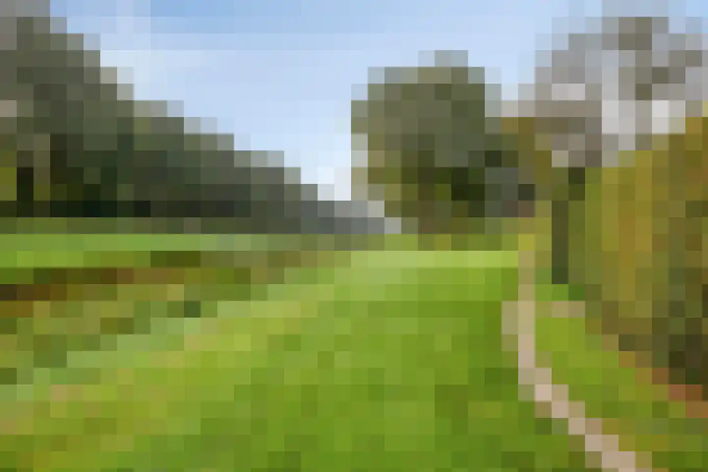 Dingspil 38 Borger thumbnail 44