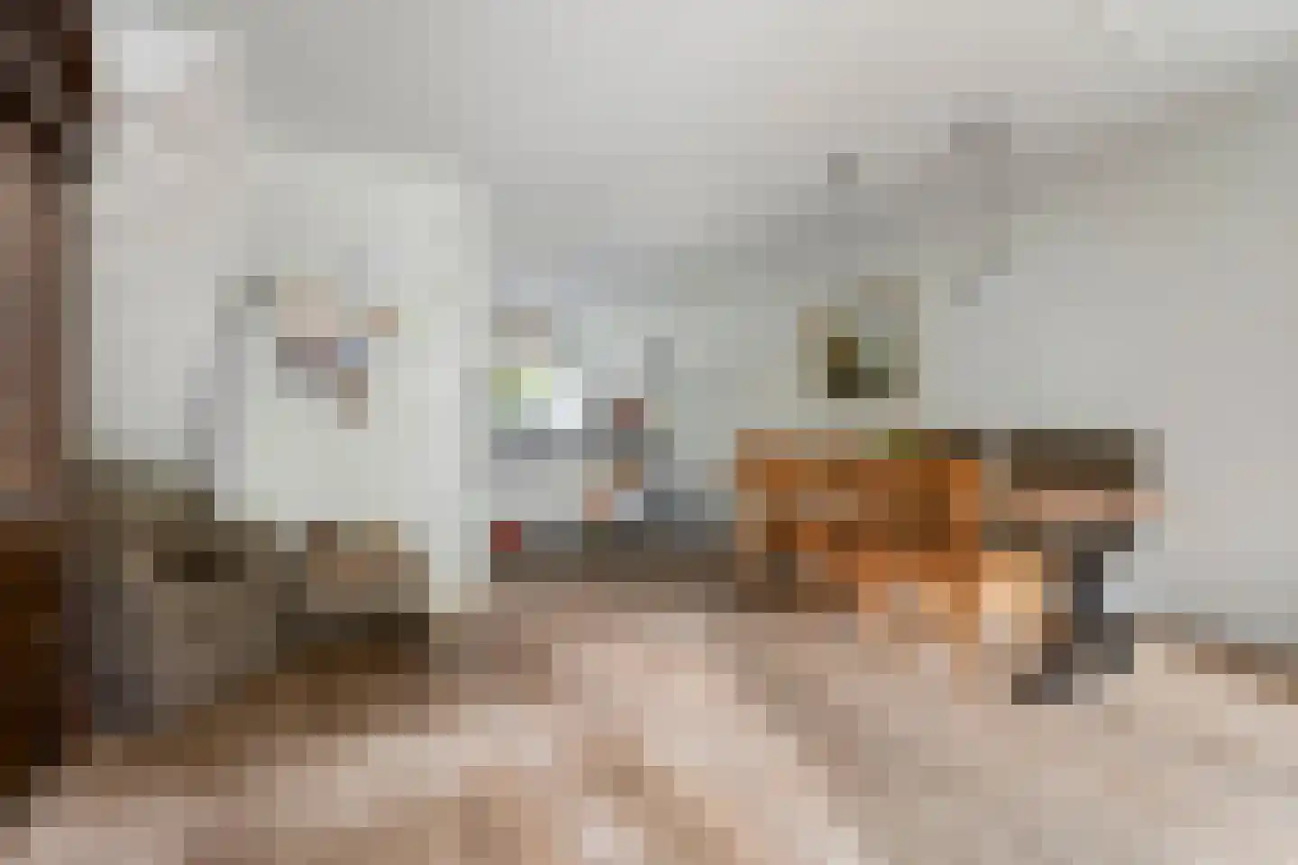Dingspil 38 Borger thumbnail 5