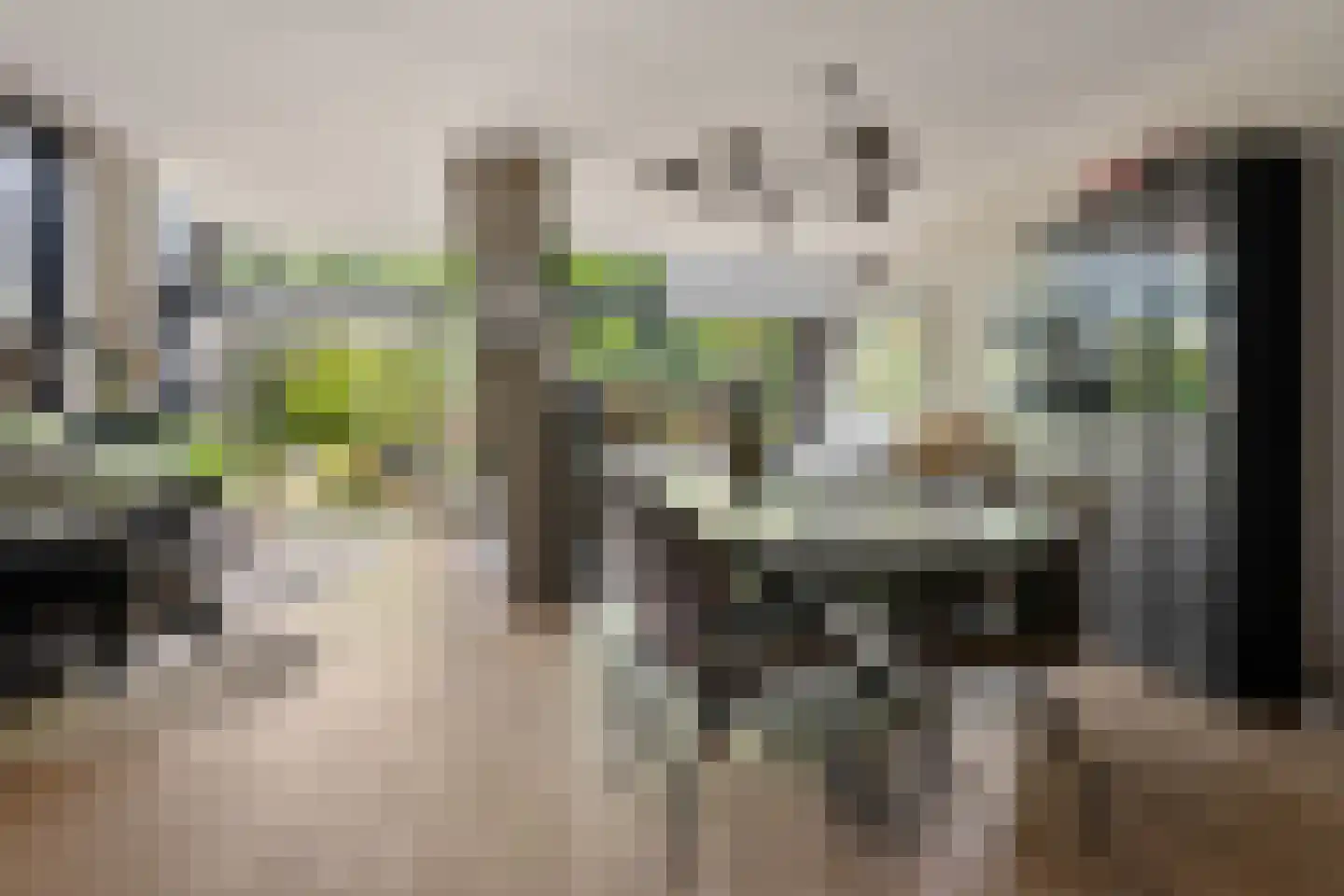 Dingspil 45 Borger thumbnail 10