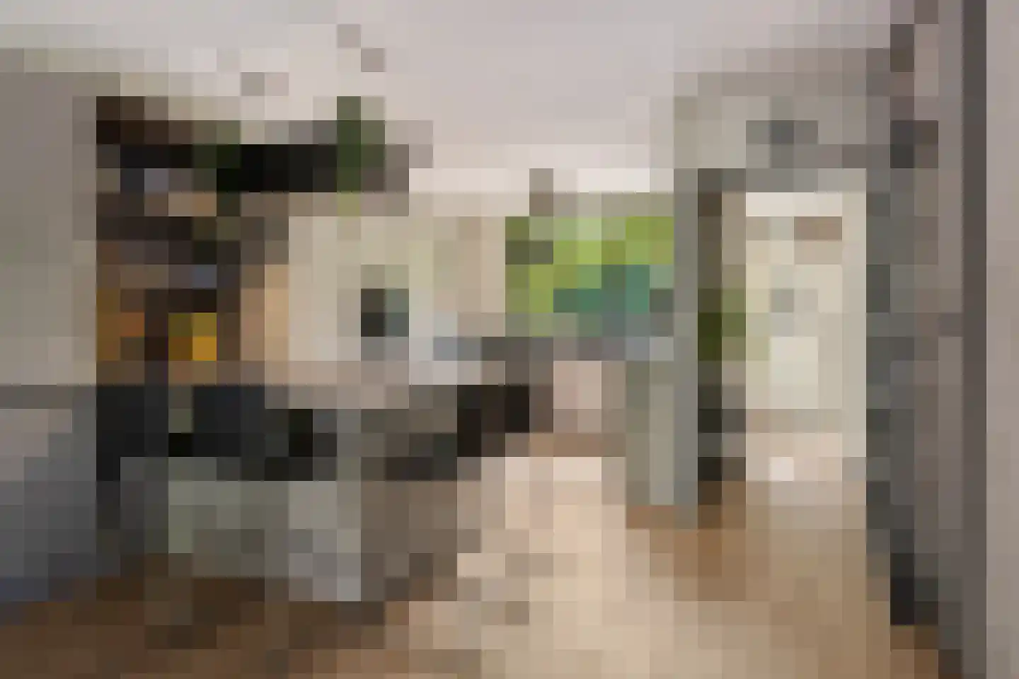 Dingspil 45 Borger thumbnail 11