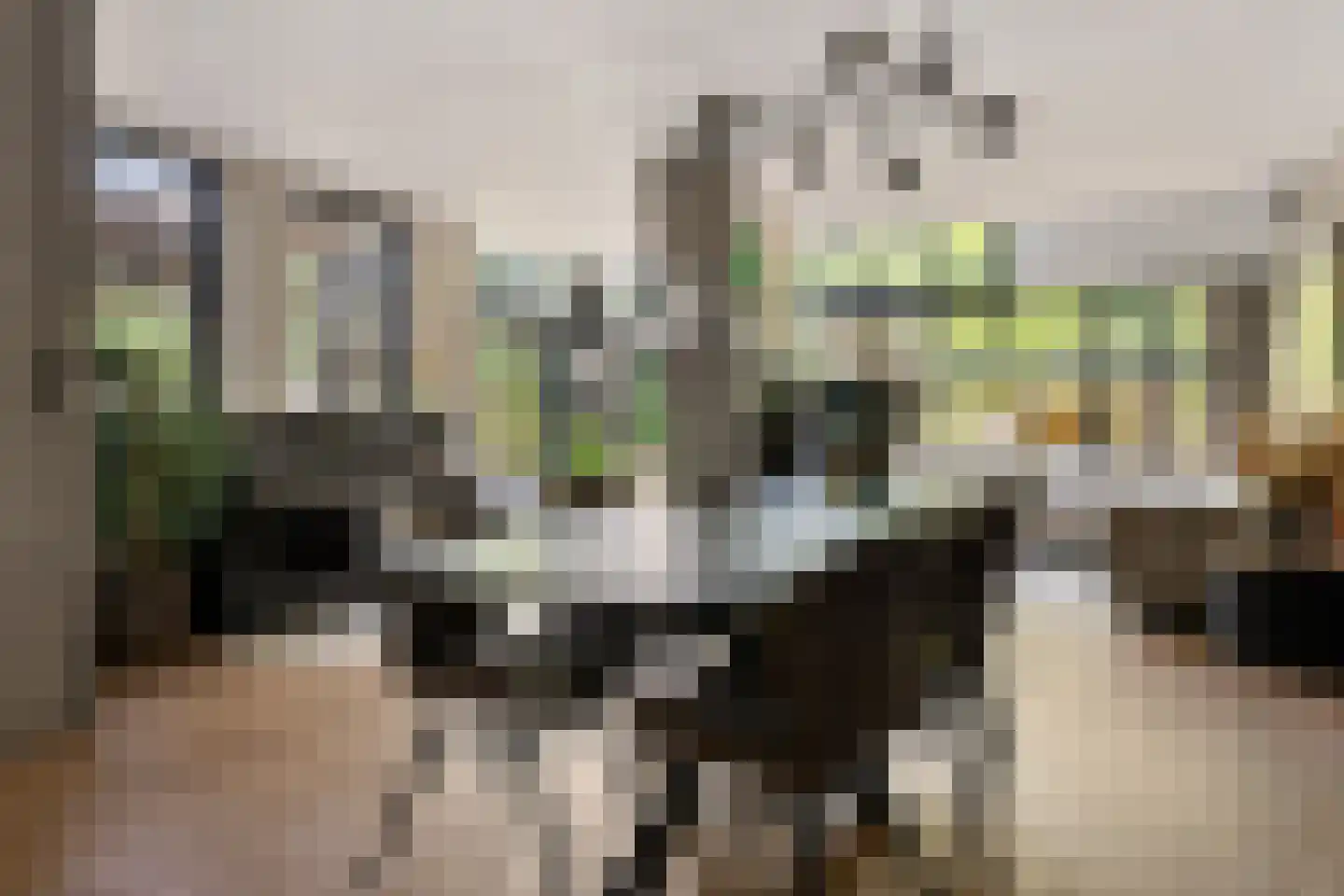 Dingspil 45 Borger thumbnail 14