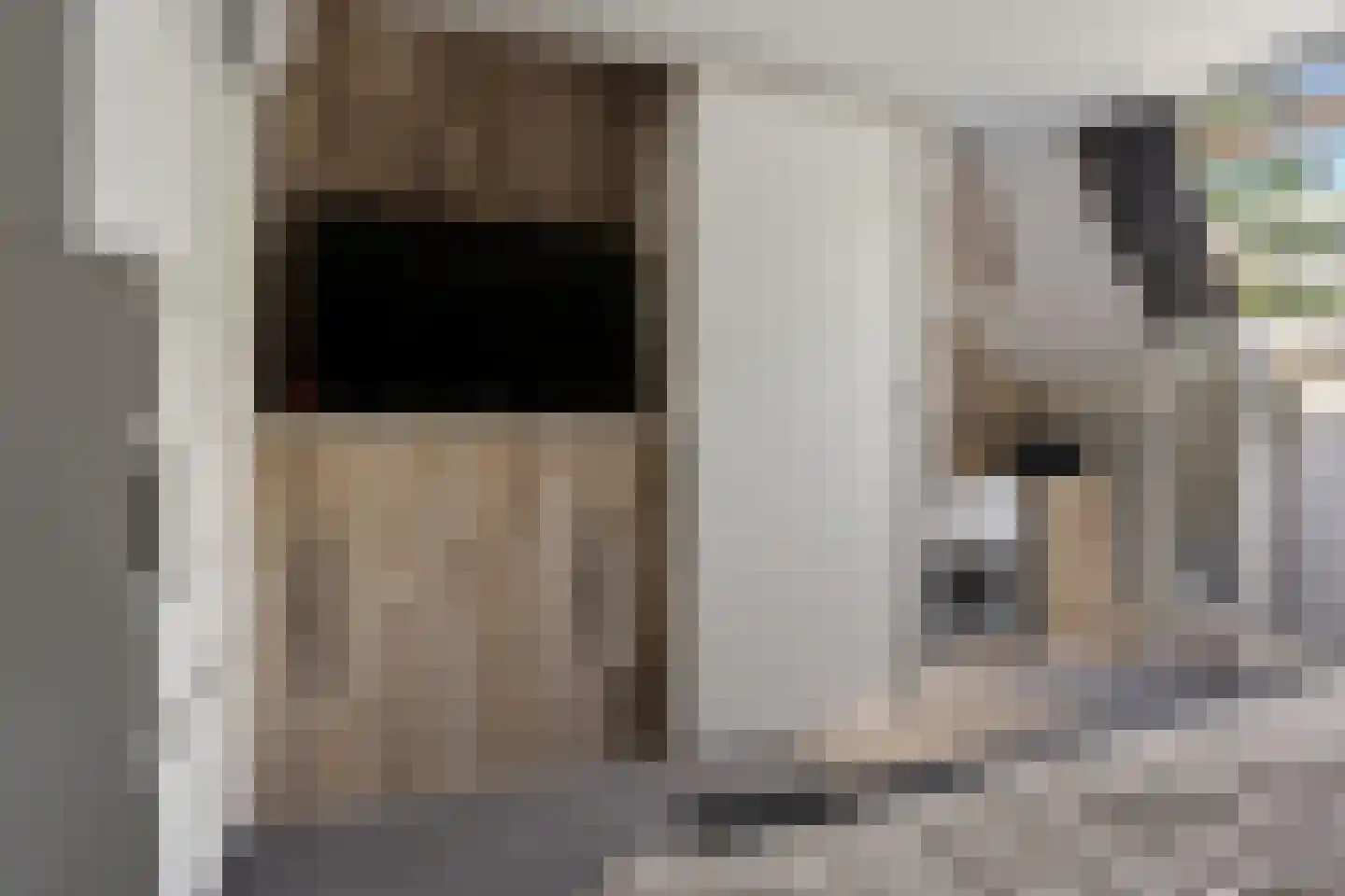 Dingspil 45 Borger thumbnail 18
