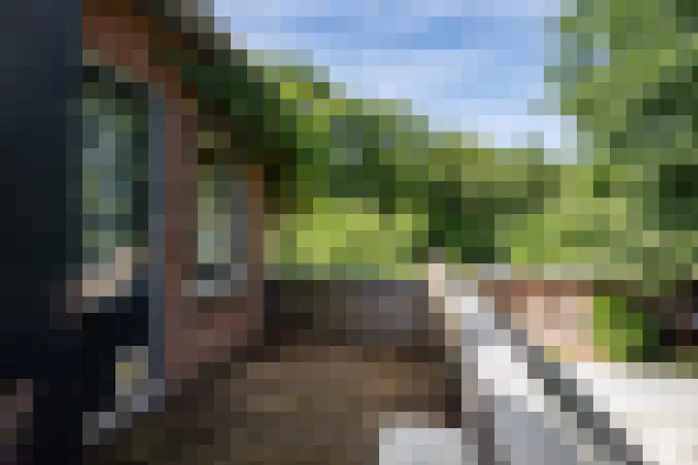 Dingspil 45 Borger thumbnail 34