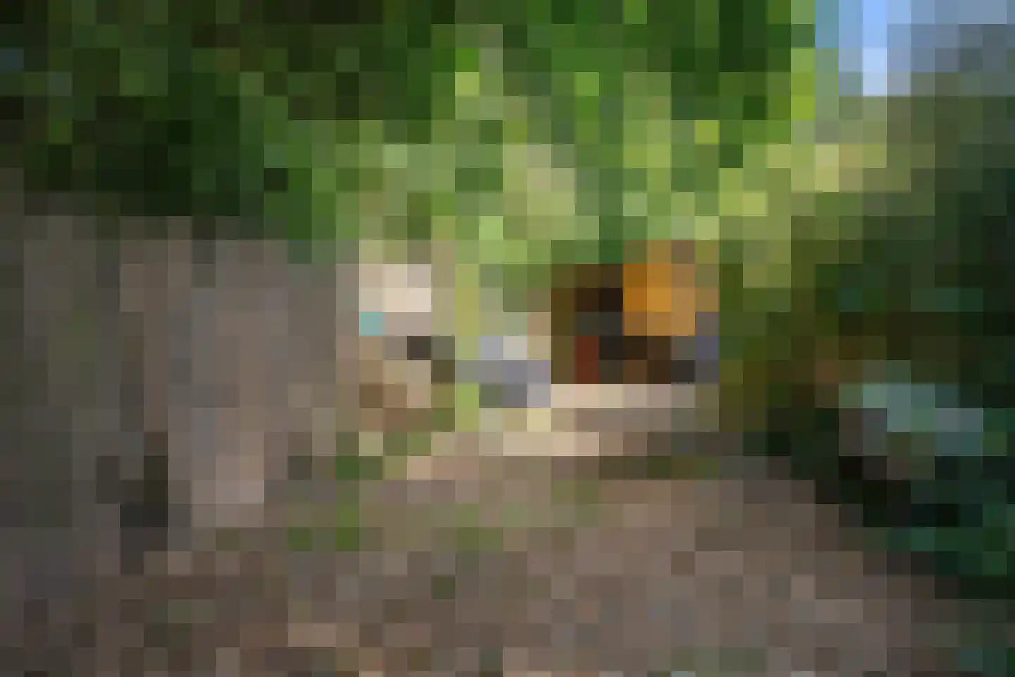 Dingspil 45 Borger thumbnail 35