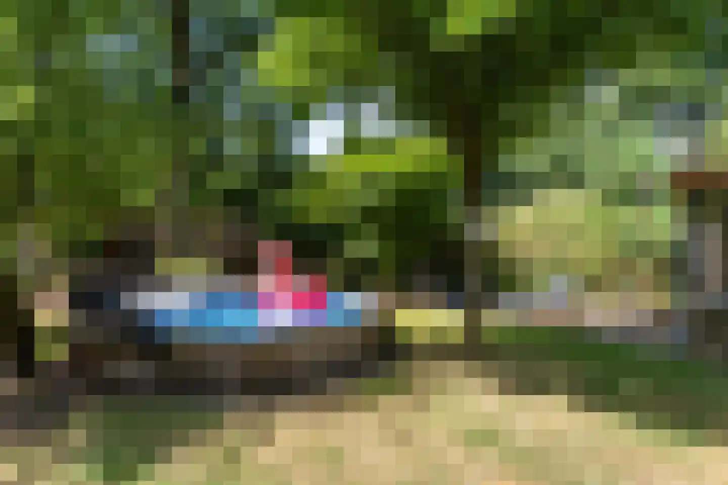 Dingspil 45 Borger thumbnail 38