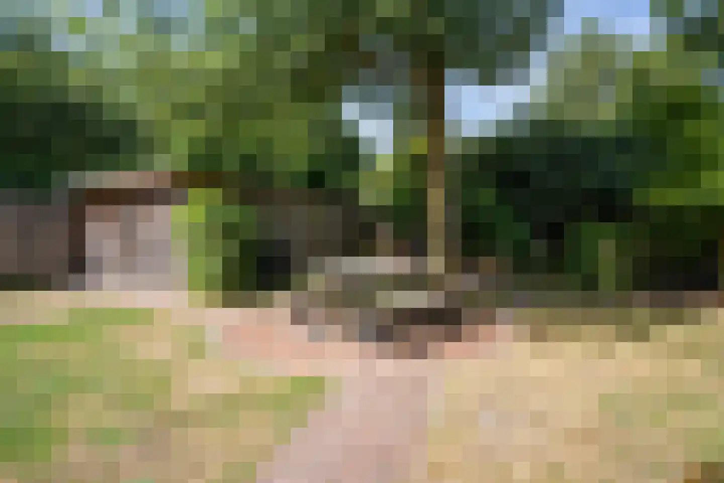 Dingspil 45 Borger thumbnail 39