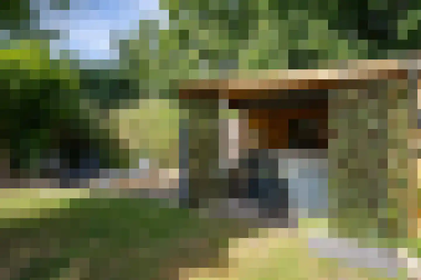 Dingspil 45 Borger thumbnail 42