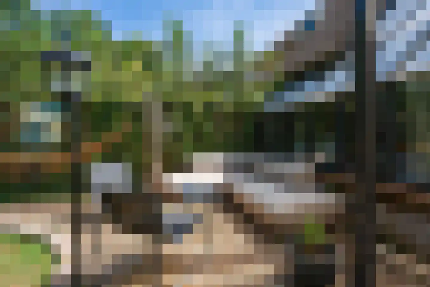 Dingspil 45 Borger thumbnail 43