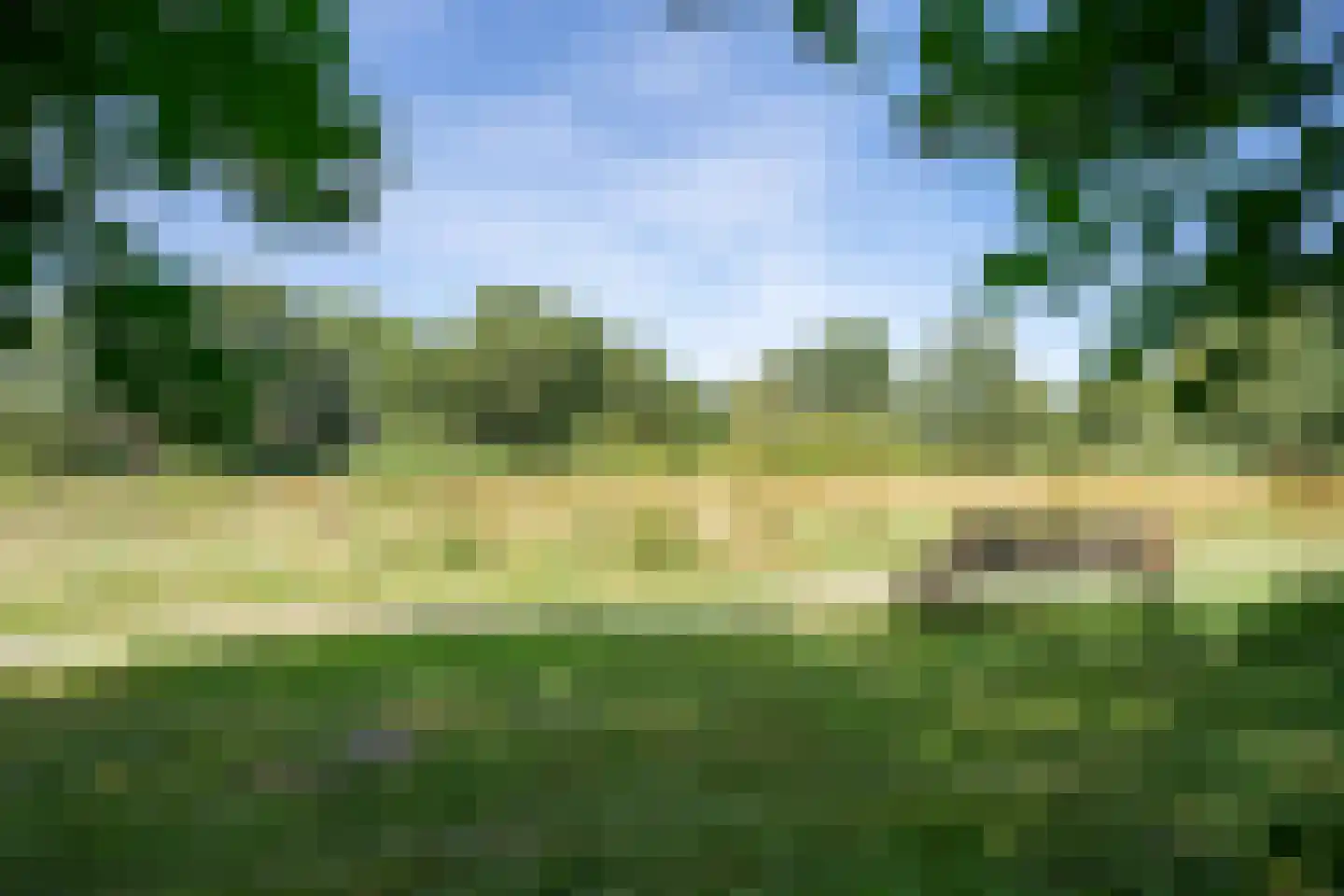 Dingspil 45 Borger thumbnail 44
