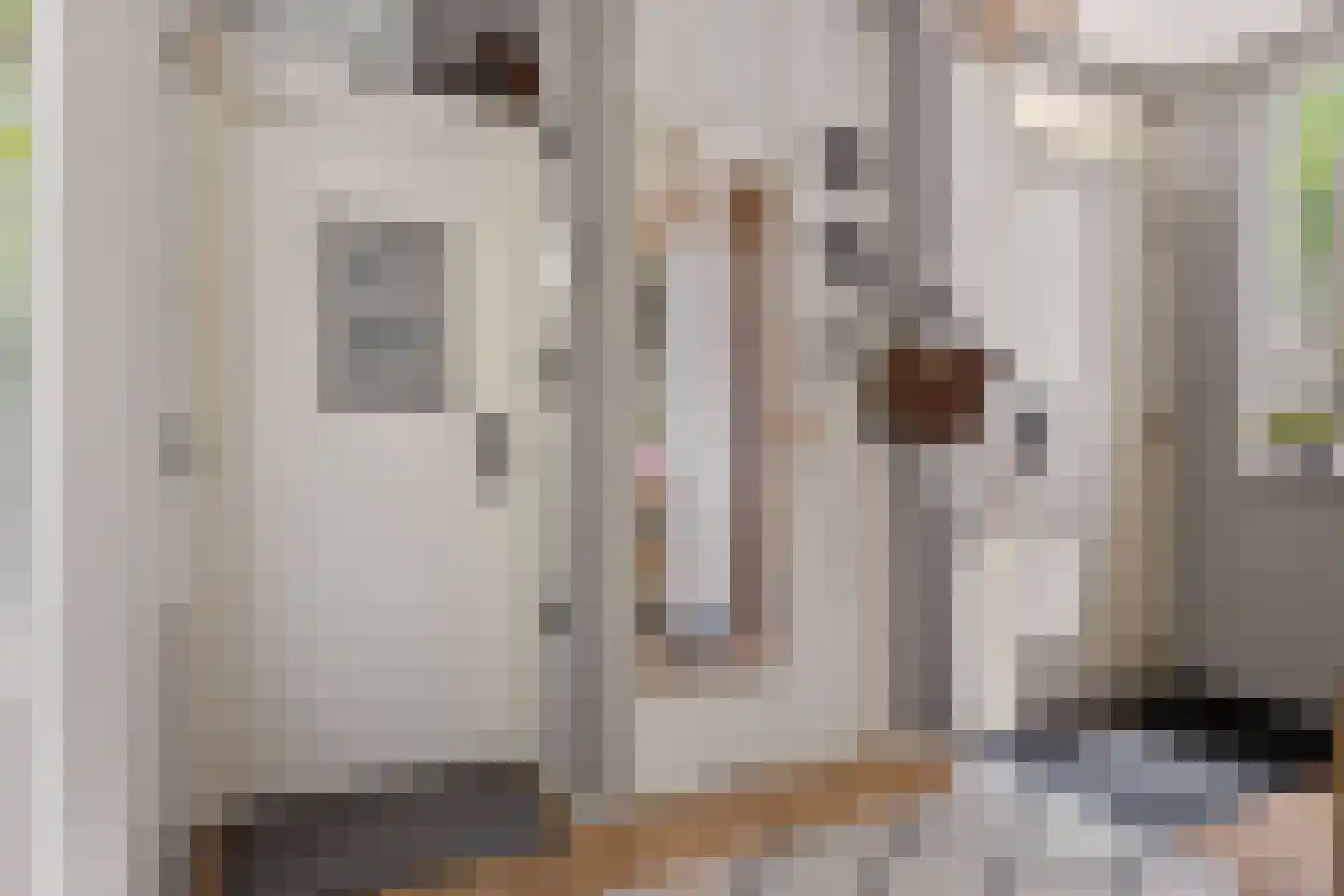 Dingspil 45 Borger thumbnail 6