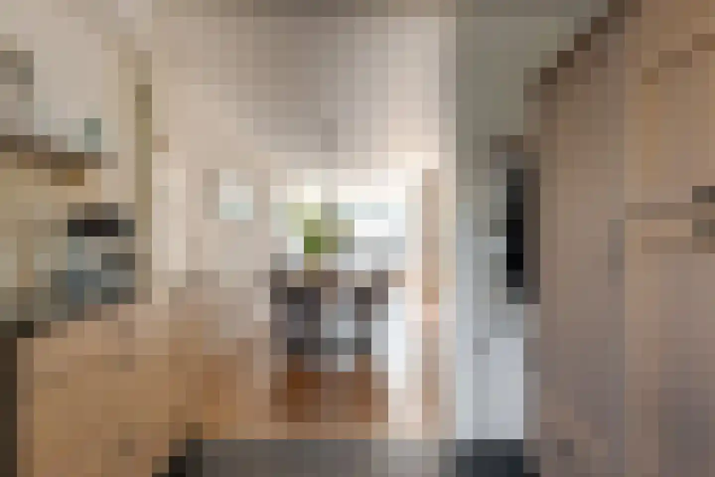 Dingspil 7 Borger thumbnail 26