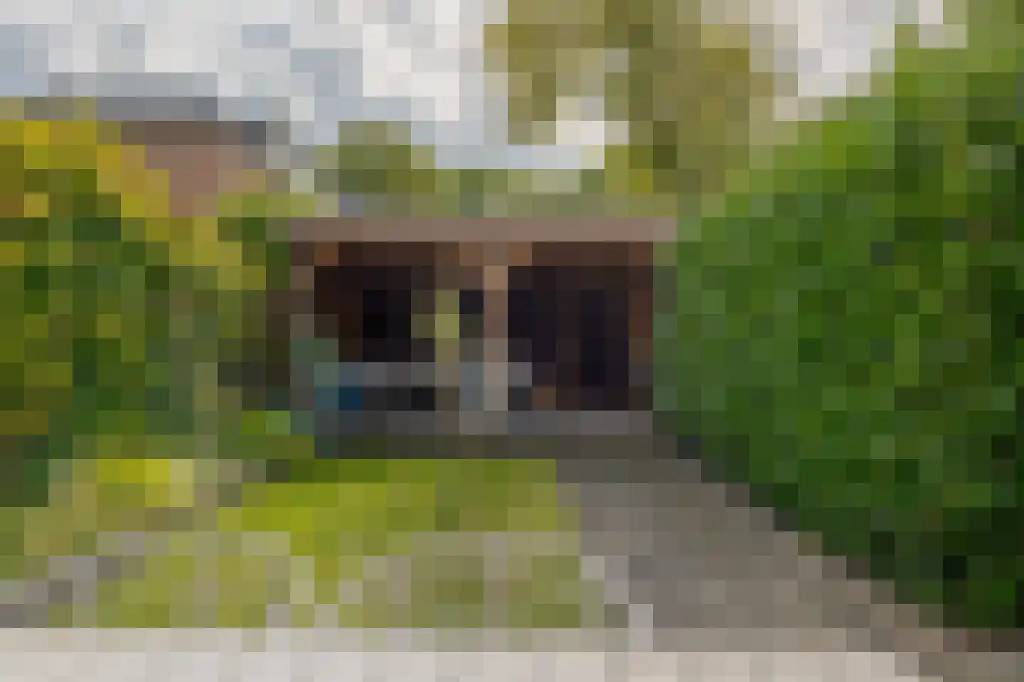 Dingspil 7 Borger thumbnail 29