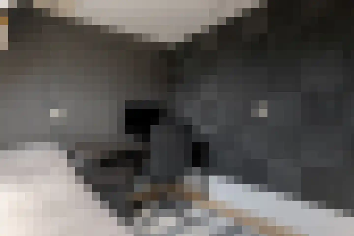 Dingspil 7 Borger thumbnail 48