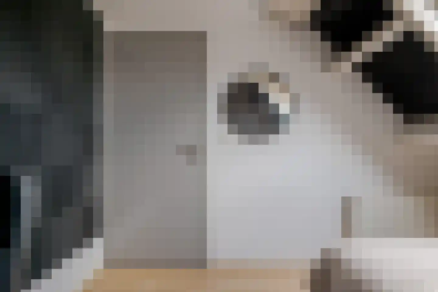 Dingspil 7 Borger thumbnail 49
